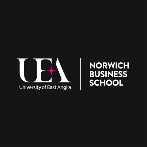 uea nbs  support akcela incubator  mba consultancy projects