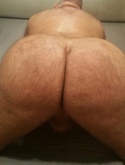 Freebo Doodles Dads Ready Porn Photo Pics