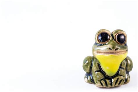 Frog Makeup Stock Photos, Pictures & Royalty-Free Images - iStock