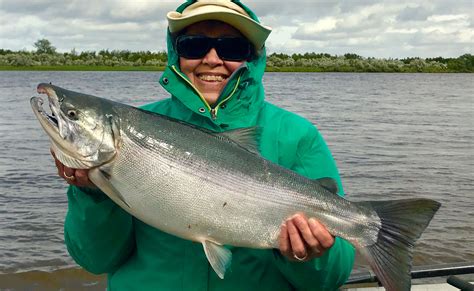 Silver Salmon Fishing Alaska Jakes Nushagak Salmon Camp