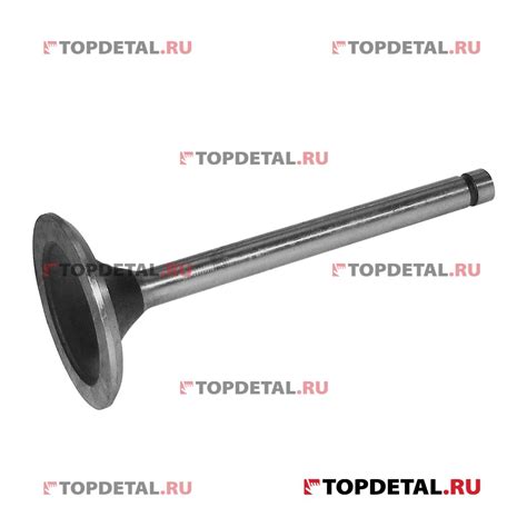 Клапан впускной дв.402 (Луганск) 24-1007010-400 купить в интернет ...