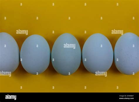 Heirloom Chicken Eggs Hi Res Stock Photography And Images Alamy