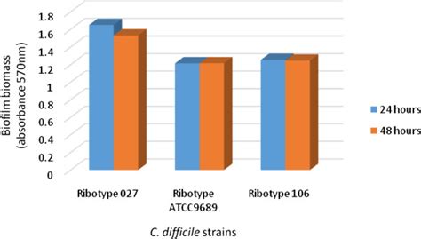 Formation Of Adherent Growth Biofilm By C Difficile Strains After 24