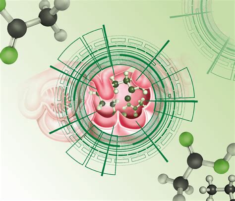 Metabolismo Ruminal De Los Cidos Grasos Vol Tiles Nutrinews