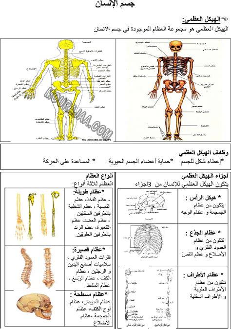 موقع مراجعة جسمالانسان