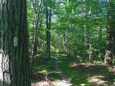 High Point State Park Monument Hike • Nyskiblog