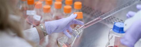 seattle genetics annualreportscom