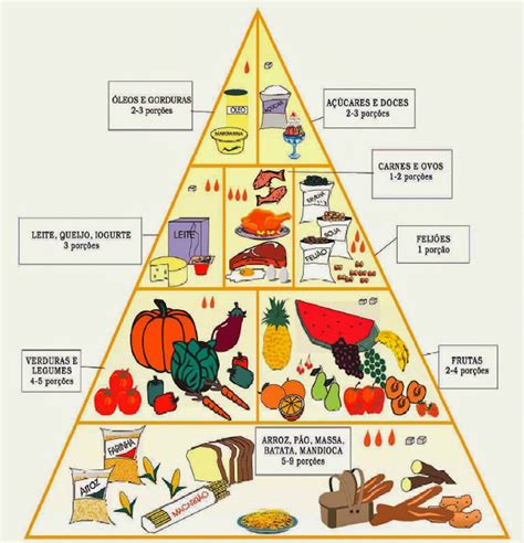 E M Anaburgo Virtual Ci Ncias Pir Mide Alimentar