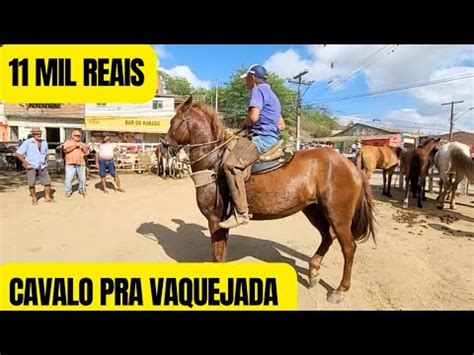 Feira De Cavalos em Bezerros pe sábado 30 09 2023 a partir de 1 mil