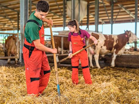 Landwirt Als Beruf Attraktiv Bayerisches Landwirtschaftliches