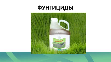 Классификация пестицидов - online presentation