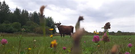 Дом фермера 2025 | ВКонтакте