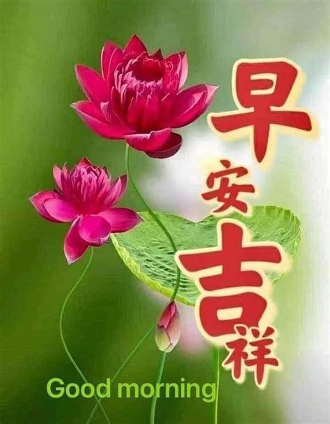 Good Morning Wishes Best Chinese Chinese Language