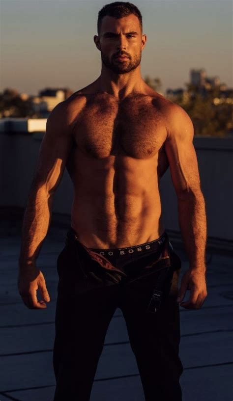 Hairy On Hairy Gay Porn Movies Vleroprestige