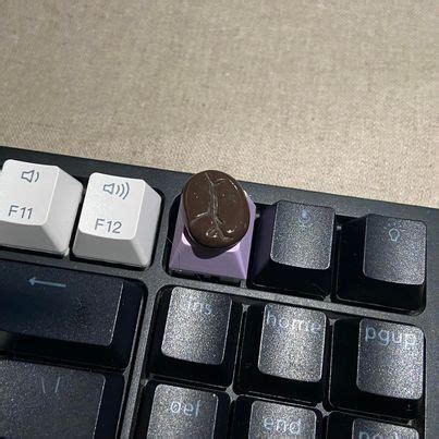 Keychron C Tenkeyless Wired Brown Switch Hot Swappable White Back Light Computers Tech