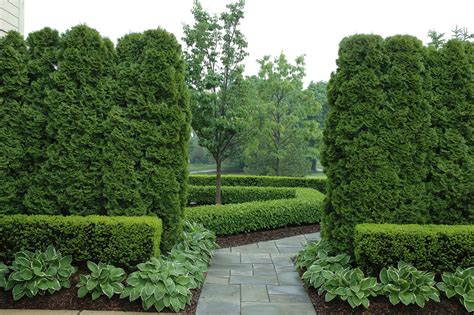 Formal Graden Path With Arborvitae And Boxwood Traditional