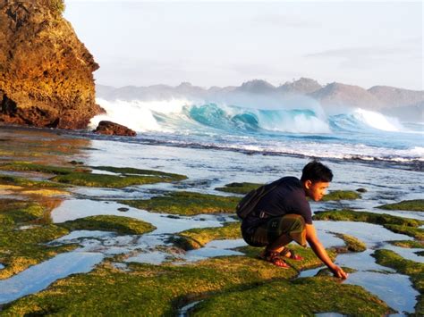 Gambar Pantai Batu Bekung Malang Cari