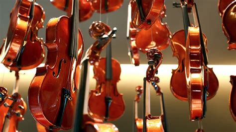 Las Claves Para Escoger El Primer Violín