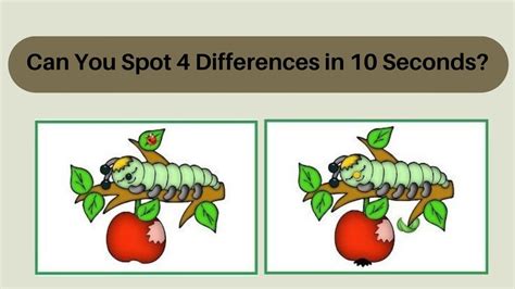 Spot The Difference Can You Spot 4 Differences Between The Two