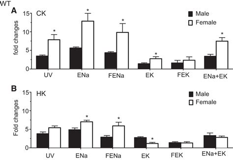Sex Difference In Kidney Electrolyte Transport Ii Impact Of K Intake On Thiazide Sensitive