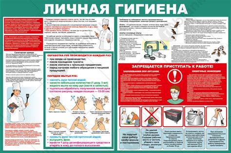 Купить Плакат "Личная гигиена" 92х64 см в Санкт-Петербурге, типография ...