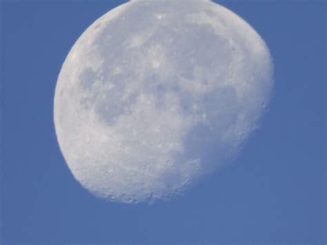 Moon Free Stock Photo Public Domain Pictures