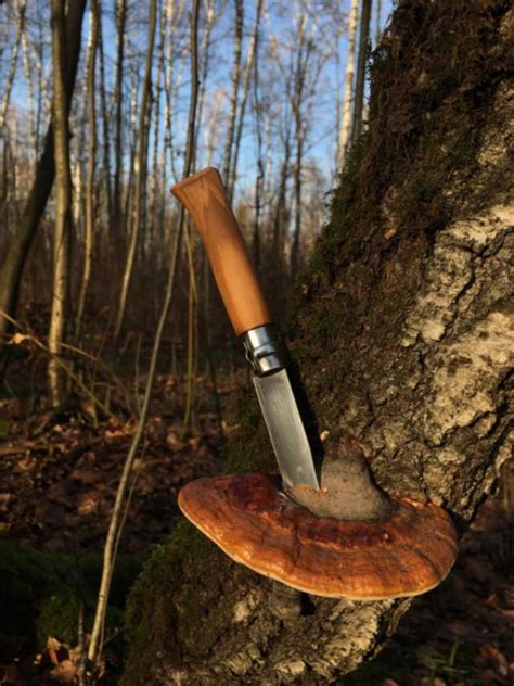 Опинель, простой обычный OPINEL страница 222 - Guns.ru Talks