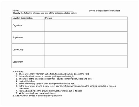 levels  ecological organization worksheet  worksheet
