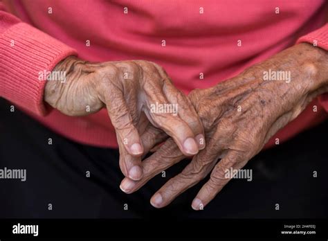 elderly womans hands stock photo alamy