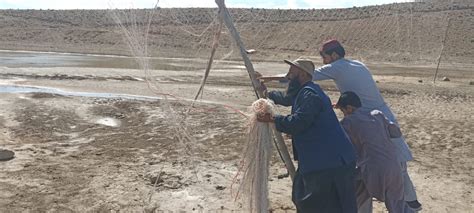 Balochistan Wildlife launches crackdown against illegal hunters in Zhob