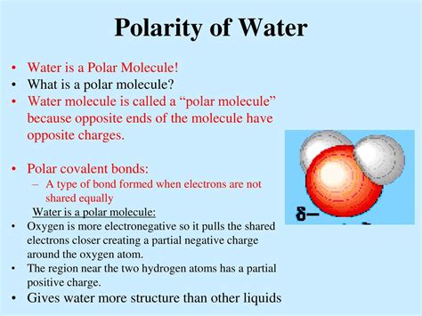 Properties Of Water Polarity