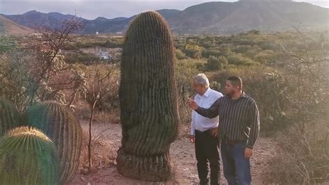 Familia En Tierra Blanca Guanajuato Le Muestra A AMLO Su Parque