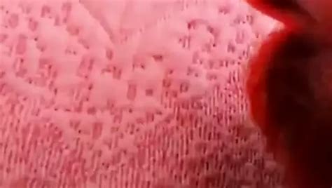 Free Bareback Breeding Compilation Gay Porn Videos Xhamster