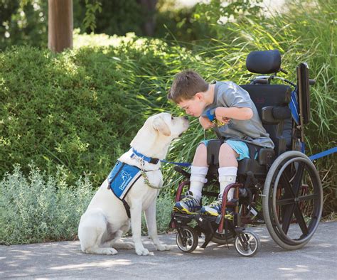 Canine Companions - Service Dogs Helping People with Disabilities - North State Parent magazine