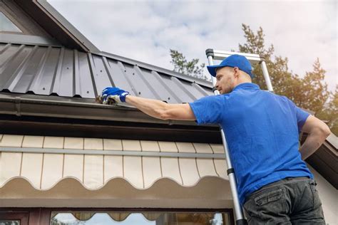 How Professionals Clean Your Gutters