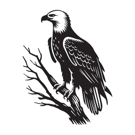 Bald Eagle Bird Silhouette Clipart Design Eagle Bird Vector