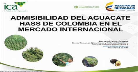 Admisibilidad Del Aguacate Hass De Colombia