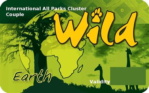 Wild Card Südafrika Kosten Vorteile And Unsere Spartipps