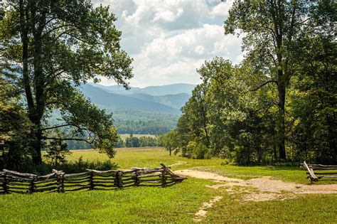 The Bridge That Love Built : Letting God Fill The Gaps In Your Adoption Story 10
