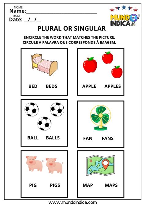 8 Atividades sobre Plural dos Substantivos em Inglês