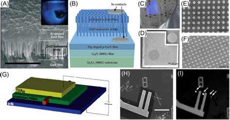 A B Sem Image And Schematic Of The Mg Doped Gan Film Zno Nanowire