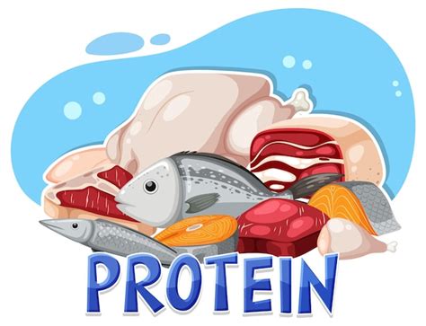 Proteins Food Clipart