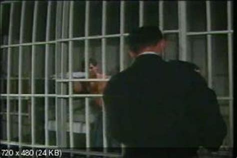 Gay Vintage The Best Of Jeff Stryker Scene