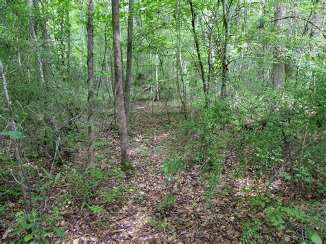 6.35 acres in Macon County, Alabama