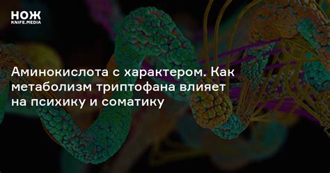 Триптофан — Нож