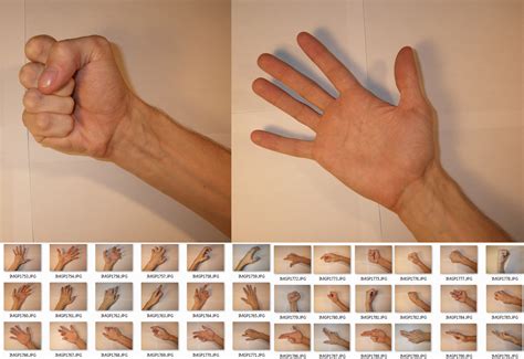 Male Hands Reference