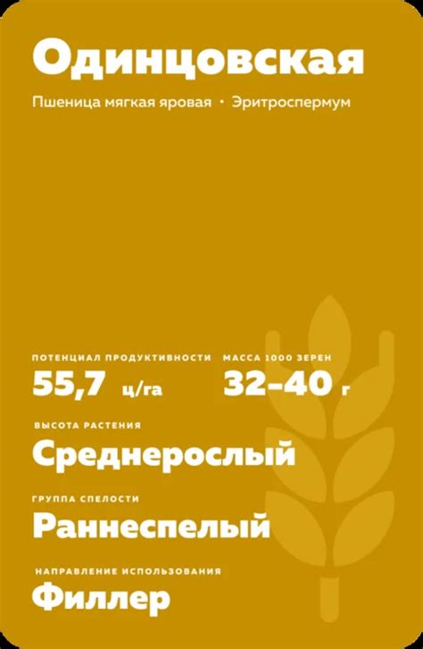 Одинцовская - пшеница мягкая яровая. Характеристики и отзывы