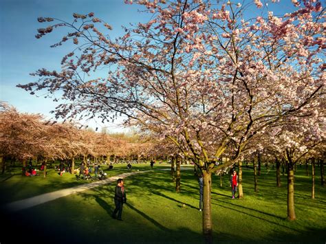 The best Hikes in Amsterdam | Outdooractive