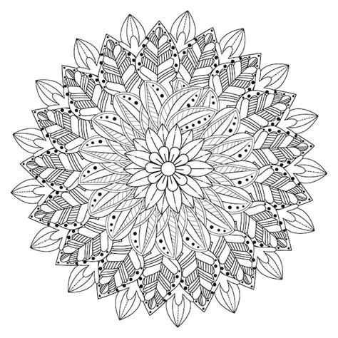 Blumen Mandala Malseite Mit Mandala Malseite Und Blumen Malbuch F R