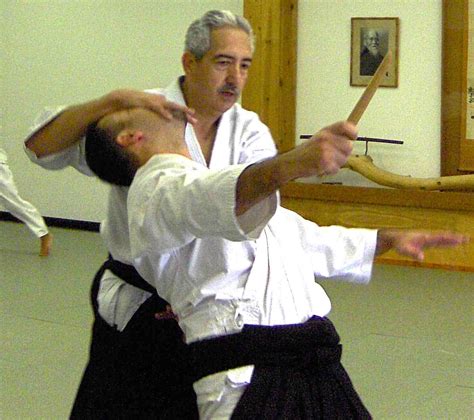 Aikido Techniques: Ukemi – To Master Throwing is to Master Falling ...